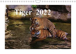Kalender Tiger 2022 (Wandkalender 2022 DIN A4 quer) von Jörg Hennig