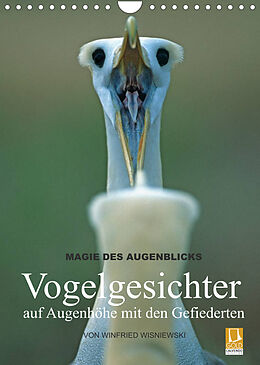 Kalender Magie des Augenblicks - Vogelgesichter - auf Augenhöhe mit den Gefiederten (Wandkalender 2022 DIN A4 hoch) von Winfried Wisniewski