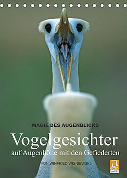 Kalender Magie des Augenblicks - Vogelgesichter - auf Augenhöhe mit den Gefiederten (Tischkalender 2022 DIN A5 hoch) von Winfried Wisniewski