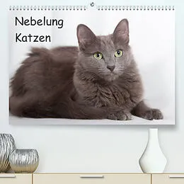 Kalender Nebelung Katzen (Premium, hochwertiger DIN A2 Wandkalender 2022, Kunstdruck in Hochglanz) von Fotodesign Verena Scholze