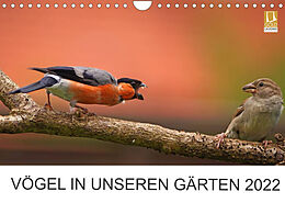 Kalender Vögel in unseren Gärten 2022 (Wandkalender 2022 DIN A4 quer) von Lutz Klapp