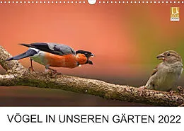Kalender Vögel in unseren Gärten 2022 (Wandkalender 2022 DIN A3 quer) von Lutz Klapp