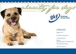 Kalender Charity for Dogs - der Kalender zum Wohle unserer Hunde (Tischkalender 2022 DIN A5 quer) von Hundeimpressionen