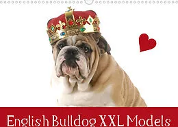 Kalender English Bulldog XXL Models (Wandkalender 2022 DIN A3 quer) von Elisabeth Stanzer