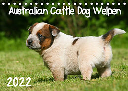 Kalender Australian Cattle Dog Welpen (Tischkalender 2022 DIN A5 quer) von Susan Milau