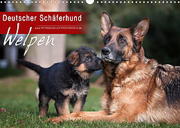 Kalender Deutscher Schäferhund - Welpen (Wandkalender 2022 DIN A3 quer) von Petra Schiller