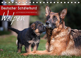 Kalender Deutscher Schäferhund - Welpen (Tischkalender 2022 DIN A5 quer) von Petra Schiller