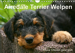 Kalender Airedale Terrier Welpen (Wandkalender 2022 DIN A4 quer) von Susan Milau