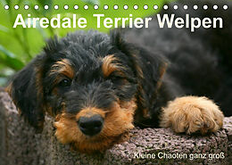 Kalender Airedale Terrier Welpen (Tischkalender 2022 DIN A5 quer) von Susan Milau