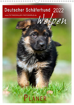 Kalender Deutscher Schäferhund - Welpen, Planer (Wandkalender 2022 DIN A3 hoch) von Petra Schiller