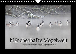 Kalender Märchenhafte Vogelwelt (Wandkalender 2022 DIN A4 quer) von Marvin Lebeus