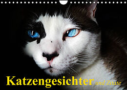 Kalender Katzengesichter und Zitate (Wandkalender 2022 DIN A4 quer) von Elisabeth Stanzer