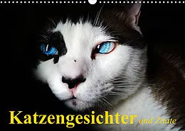 Kalender Katzengesichter und Zitate (Wandkalender 2022 DIN A3 quer) von Elisabeth Stanzer