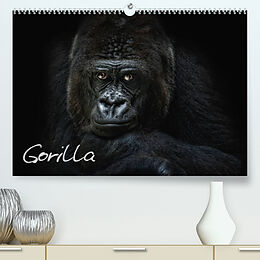 Kalender Gorilla (Premium, hochwertiger DIN A2 Wandkalender 2022, Kunstdruck in Hochglanz) von Joachim Pinkawa / Jo.PinX