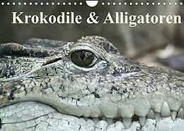 Kalender Krokodile & Alligatoren (Wandkalender 2022 DIN A4 quer) von Elisabeth Stanzer