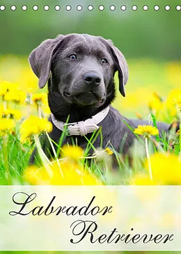 Kalender Labrador Retriever (Tischkalender 2022 DIN A5 hoch) von Nicole Noack