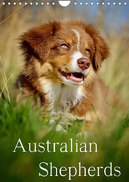 Kalender Australian Shepherds (Wandkalender 2022 DIN A4 hoch) von Nicole Noack