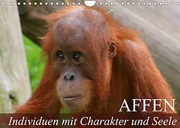 Kalender Affen - Individuen mit Charakter und Seele (Wandkalender 2022 DIN A4 quer) von Elisabeth Stanzer