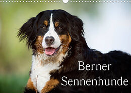 Kalender Berner Sennenhunde (Wandkalender 2022 DIN A3 quer) von Nicole Noack