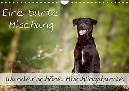 Kalender Eine bunte Mischung - wunderschöne Mischlingshunde / Geburtstagskalender (Wandkalender 2022 DIN A4 quer) von Nicole Noack