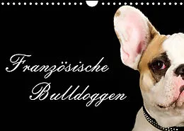 Kalender Französische Bulldoggen (Wandkalender 2022 DIN A4 quer) von Nicole Noack