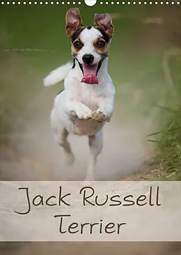 Kalender Jack Russell Terrier (Wandkalender 2022 DIN A3 hoch) von Nicole Noack