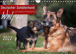 Kalender Deutscher Schäferhund - Welpen / CH-Version (Wandkalender 2022 DIN A4 quer) von Petra Schiller