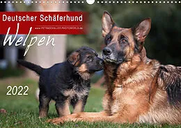 Kalender Deutscher Schäferhund - Welpen / CH-Version (Wandkalender 2022 DIN A3 quer) von Petra Schiller
