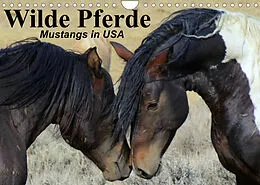 Kalender Wilde Pferde  Mustangs in USA (Wandkalender 2022 DIN A4 quer) von Elisabeth Stanzer