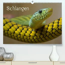 Kalender Schlangen (Premium, hochwertiger DIN A2 Wandkalender 2022, Kunstdruck in Hochglanz) von Elisabeth Stanzer
