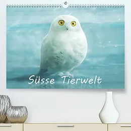 Kalender Süsse Tierwelt / CH-Version / Geburtstagskalender (Premium, hochwertiger DIN A2 Wandkalender 2022, Kunstdruck in Hochglanz) von Silvio Schoisswohl