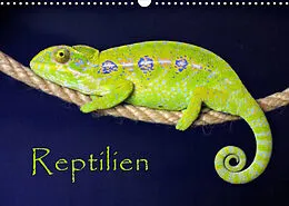 Kalender Reptilien (Wandkalender 2022 DIN A3 quer) von der Sushi
