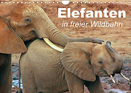 Kalender Elefanten in freier Wildbahn (Wandkalender 2022 DIN A4 quer) von Elisabeth Stanzer