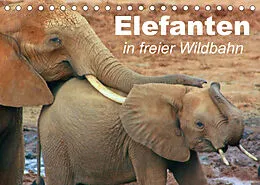 Kalender Elefanten in freier Wildbahn (Tischkalender 2022 DIN A5 quer) von Elisabeth Stanzer