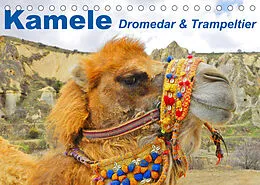 Kalender Kamele  Dromedar & Trampeltier (Tischkalender 2022 DIN A5 quer) von Elisabeth Stanzer