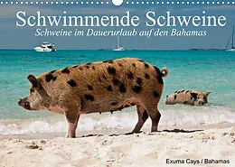 Kalender Schwimmende Schweine (Wandkalender 2022 DIN A3 quer) von Elisabeth Stanzer