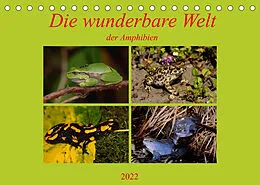 Kalender Die wunderbare Welt der Amphibien (Tischkalender 2022 DIN A5 quer) von Winfried Erlwein