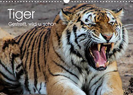 Kalender Tiger. Gestreift, wild u. schön (Wandkalender 2022 DIN A3 quer) von Elisabeth Stanzer