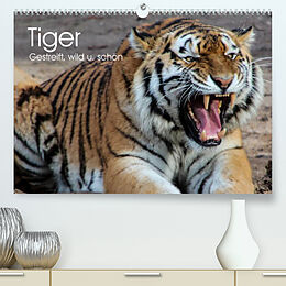 Kalender Tiger. Gestreift, wild u. schön (Premium, hochwertiger DIN A2 Wandkalender 2022, Kunstdruck in Hochglanz) von Elisabeth Stanzer