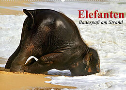 Kalender Elefanten. Badespaß am Strand (Wandkalender 2022 DIN A2 quer) von Elisabeth Stanzer