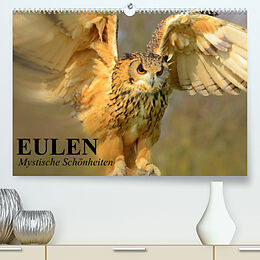 Kalender Eulen. Mystische Schönheiten (Premium, hochwertiger DIN A2 Wandkalender 2022, Kunstdruck in Hochglanz) von Elisabeth Stanzer