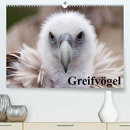 Kalender Greifvögel (Premium, hochwertiger DIN A2 Wandkalender 2022, Kunstdruck in Hochglanz) von Elisabeth Stanzer