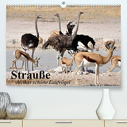 Kalender Strauße. Afrikas schöne Laufvögel (Premium, hochwertiger DIN A2 Wandkalender 2022, Kunstdruck in Hochglanz) von Elisabeth Stanzer