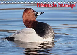 Kalender Einheimische Entenvögel (Tischkalender 2022 DIN A5 quer) von Winfried Erlwein
