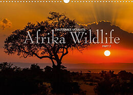 Kalender Emotionale Momente: Afrika Wildlife Part 2 / CH-Version (Wandkalender 2022 DIN A3 quer) von Ingo Gerlach GDT