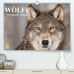 Kalender Wölfe. Verwegene Anmut (Premium, hochwertiger DIN A2 Wandkalender 2022, Kunstdruck in Hochglanz) von Elisabeth Stanzer