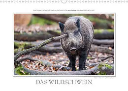 Kalender Emotionale Momente: Das Wildschwein. / CH-Version (Wandkalender 2022 DIN A3 quer) von Ingo Gerlach GDT