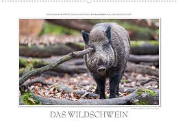 Kalender Emotionale Momente: Das Wildschwein. / CH-Version (Wandkalender 2022 DIN A2 quer) von Ingo Gerlach GDT