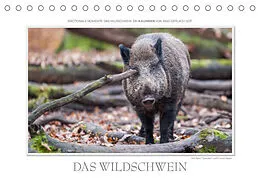 Kalender Emotionale Momente: Das Wildschwein. / CH-Version (Tischkalender 2022 DIN A5 quer) von Ingo Gerlach GDT