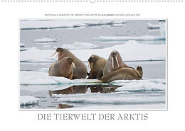 Kalender Emotionale Momente: Die Tierwelt der Arktis / CH-Version (Wandkalender 2022 DIN A2 quer) von Ingo Gerlach GDT